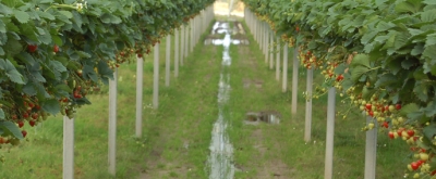 Grundfos170715