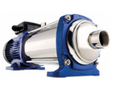 Xylem081013D