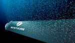 Xylem260514